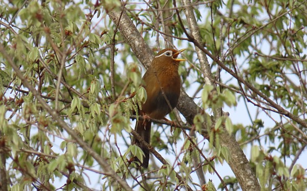 �K�r�`���E